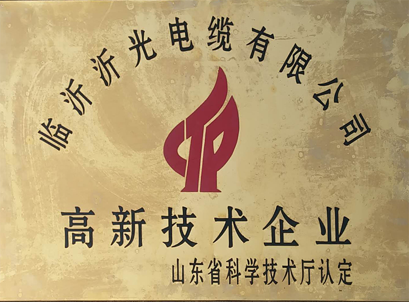 高新技術(shù)企業(yè)