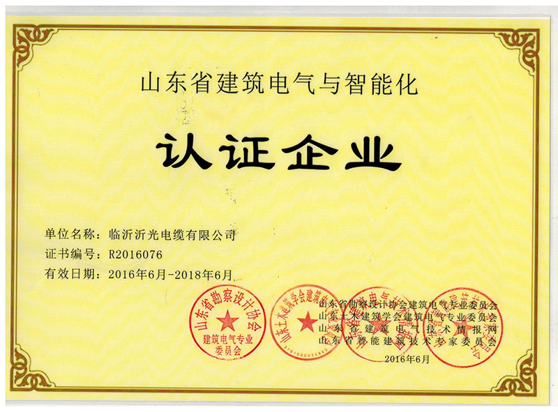 山東省建筑電氣與智能化認(rèn)證企業(yè)