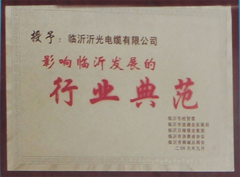 影響臨沂發(fā)展的行業(yè)典范