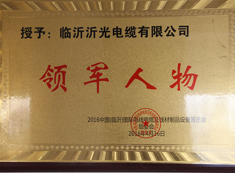 領(lǐng)軍人物